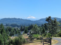 ZGNW – Summer hike at Powell Butte Nature Park on July 26, 2025